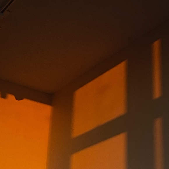 Meet your Posher, Patty - Picture 4 of 6